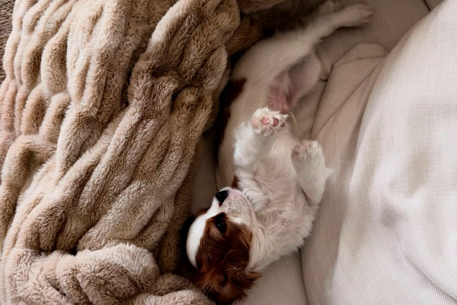    Фото: arynasabalenka / Instagram