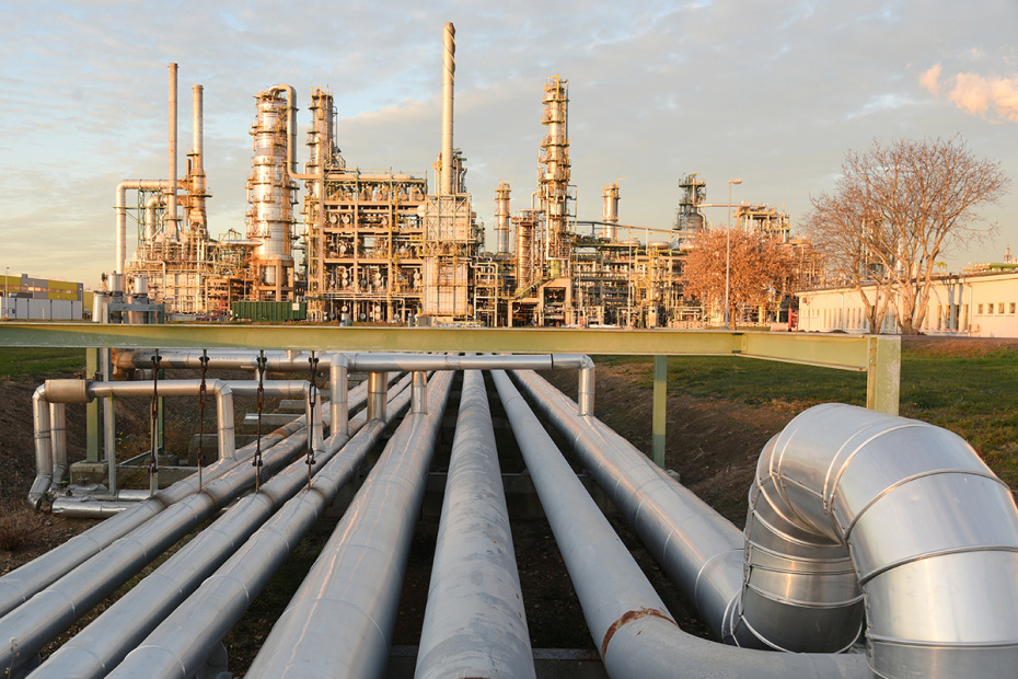    Waltraud Grubitzsch/dpa/Global Look Press