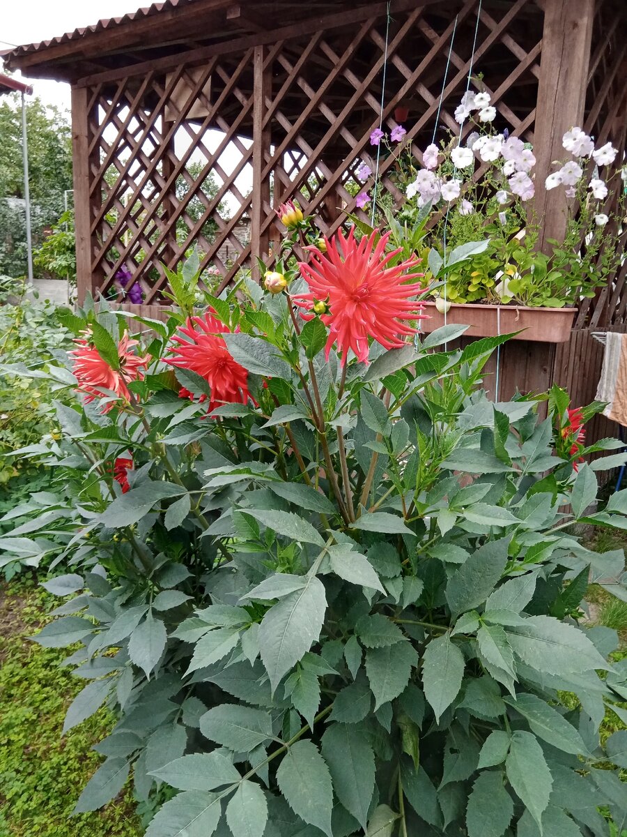 Фото автора.