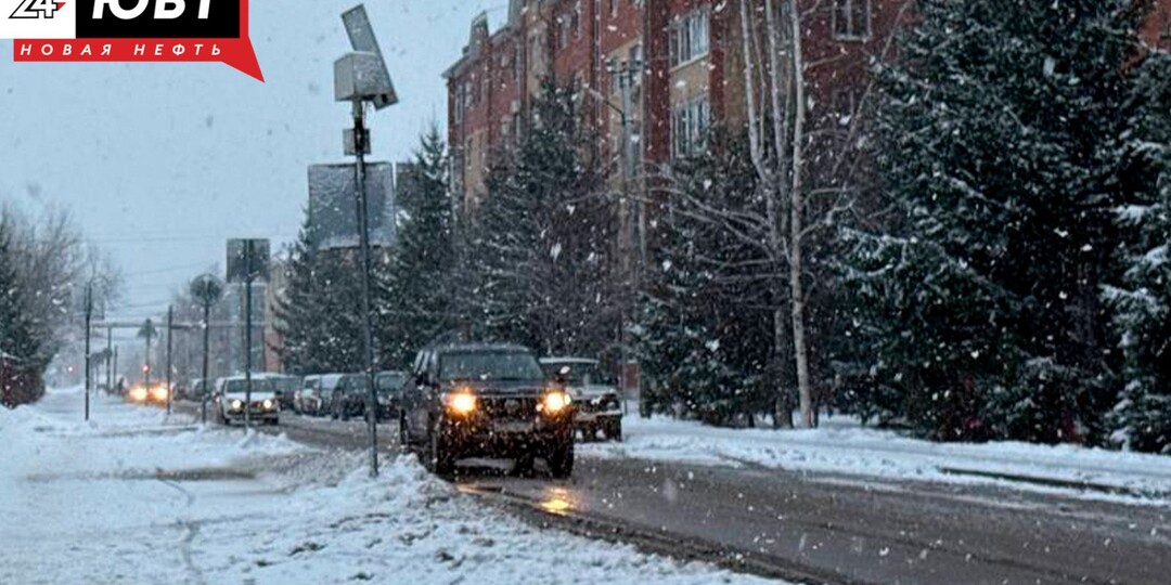 Альметьевцам напомнили правила выпаса скота