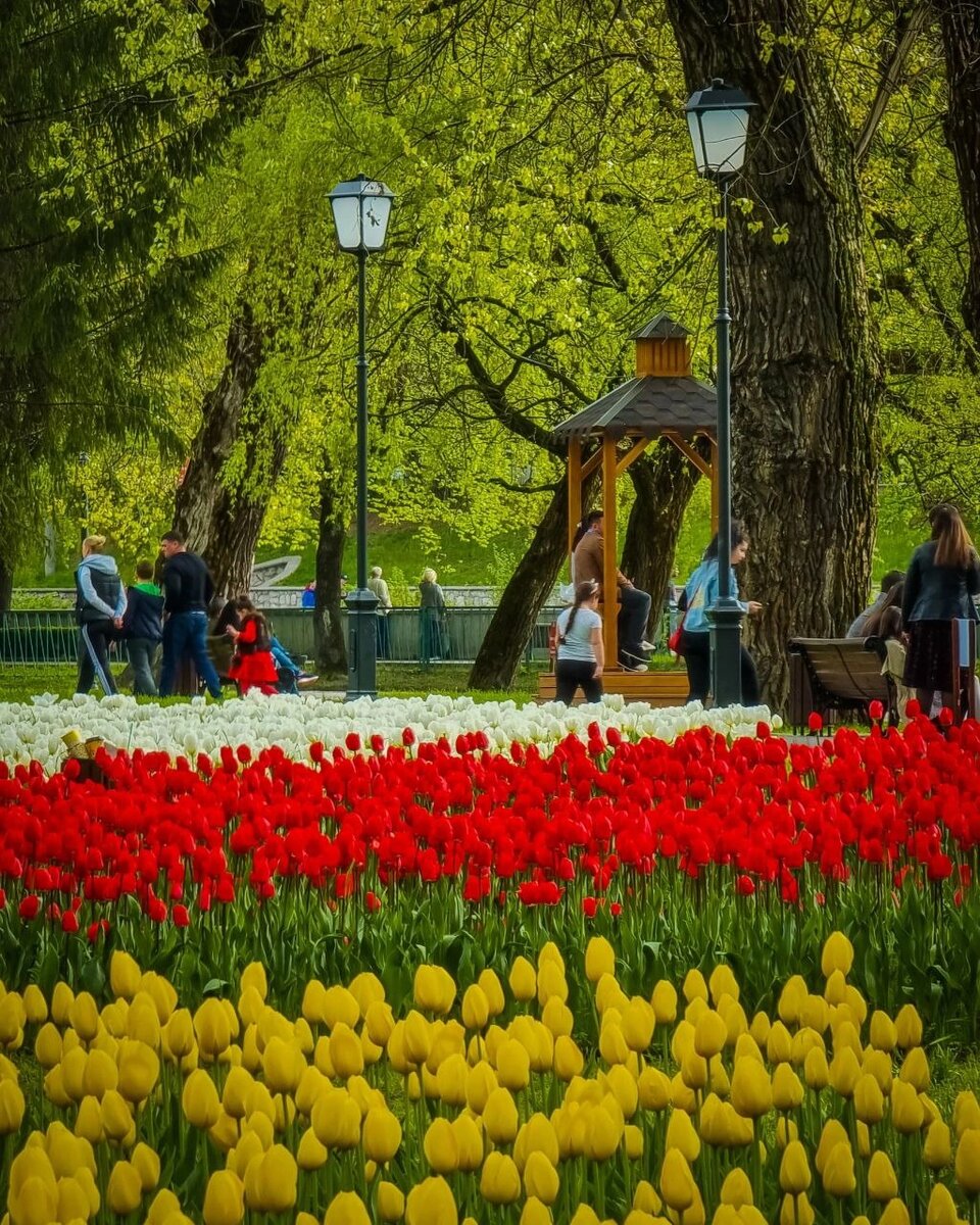    Фото: 15 регион