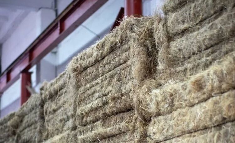    Фото: Филиал Россельхозцентра по Республике Башкортостан