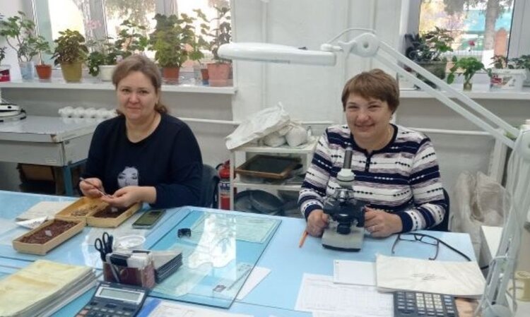 Фото: филиал Россельхозцентра по Республике Башкортостан.📷    Коноплеводство «Авилата»: свои семена и успешный агроэкспорт
