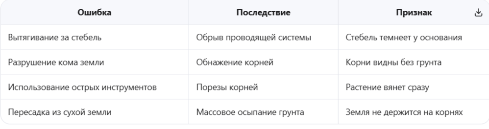 Типичные ошибки при извлечении