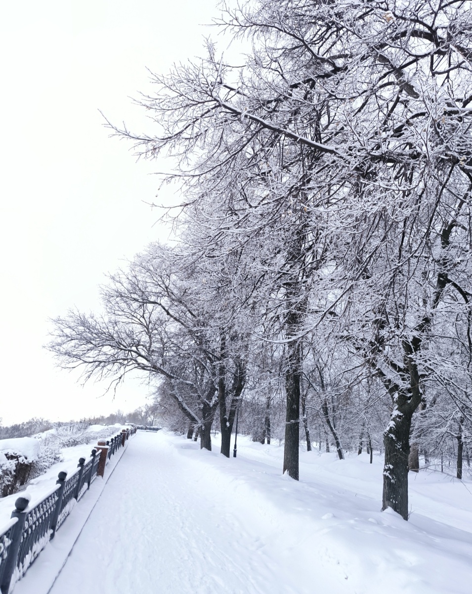 Все фотографии и коллаж в статье авторские. Парк Ульяновска