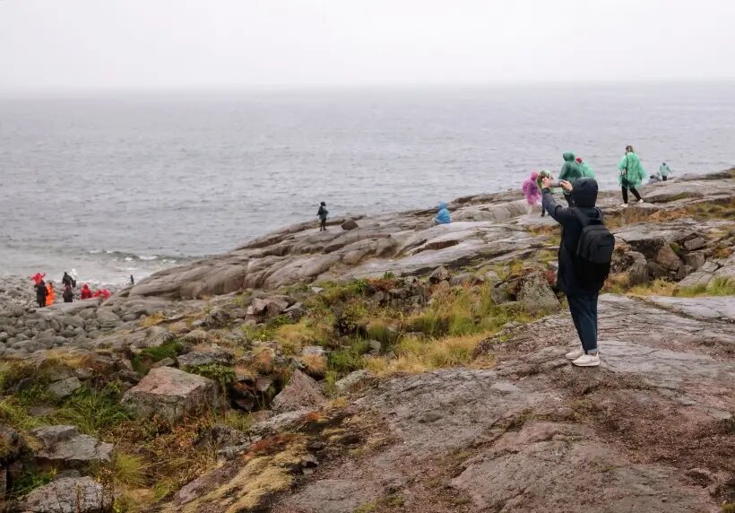     © РИА Новости. Дмитрий Дубов