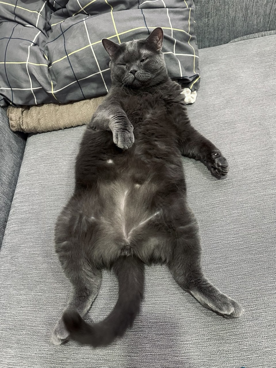 Фото автора. Бенедикт