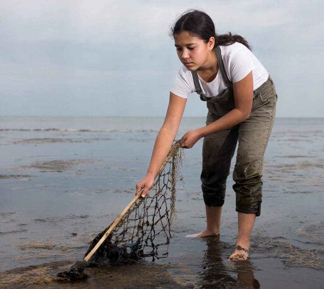 Образ, прищедший на запрос в регрессии.