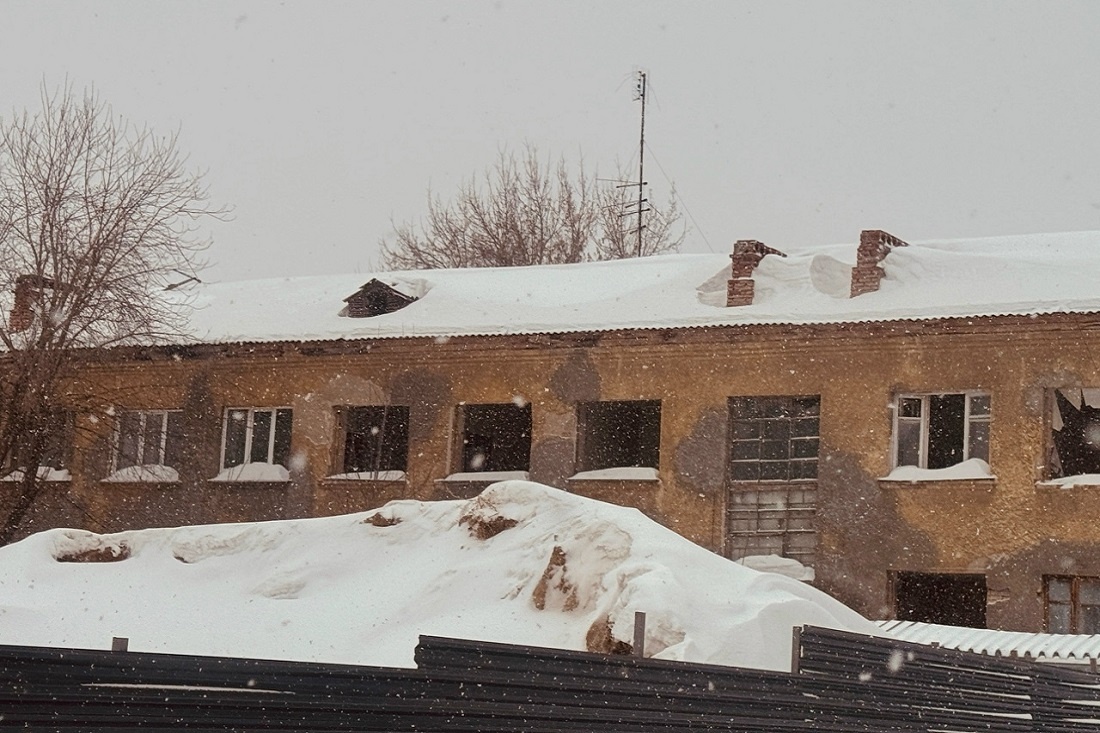    Фото: Елена Богатырёва, nsknews.info