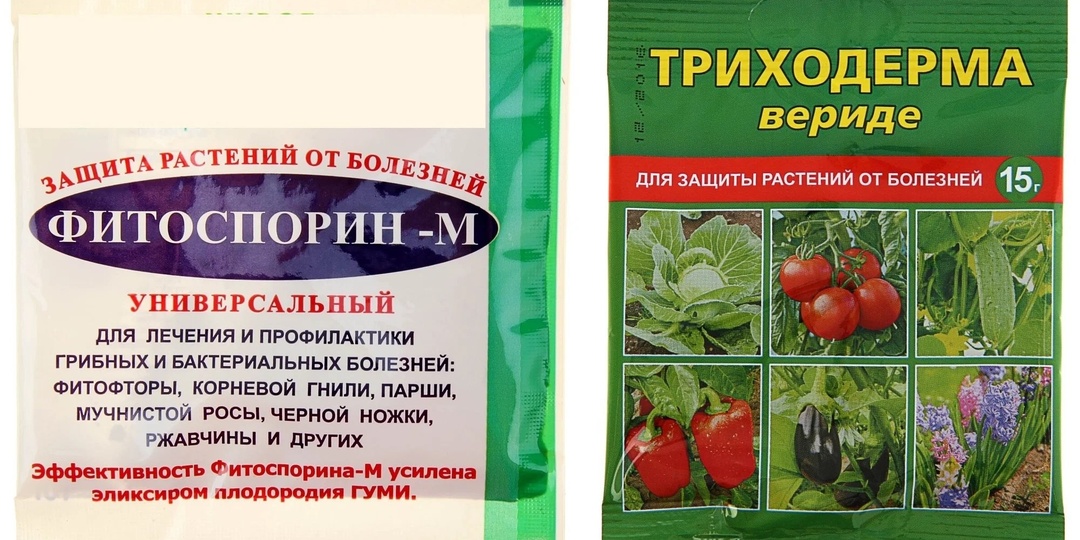 Триходерма, Фитоспорин или железный купорос: какой препарат выбрать для профилактики болезней перца в марте (сравнение + инструкция)
