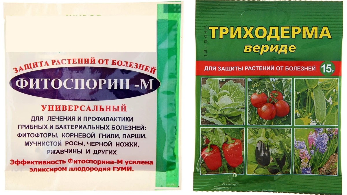 Триходерма, Фитоспорин