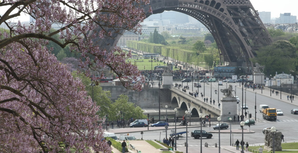    Фото: НИА "Экология"