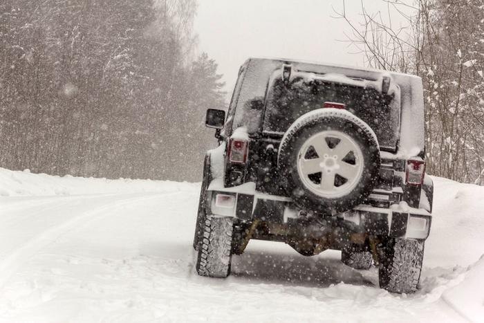 Обложка © Shutterstock / FOTODOM / Pavel Vaschenkov