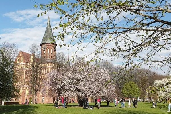 Калининград: Турист