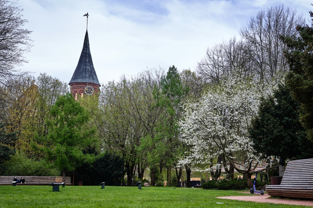 Весенний Калининград: МК в Калининграде 