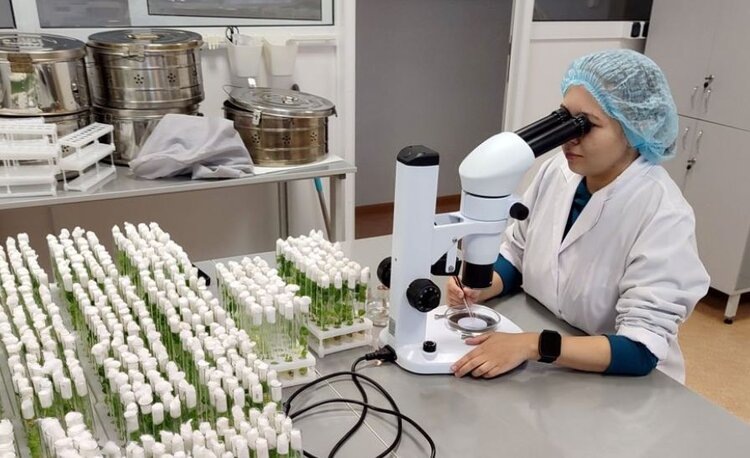    Фото: Минсельхоз Чувашской Республики