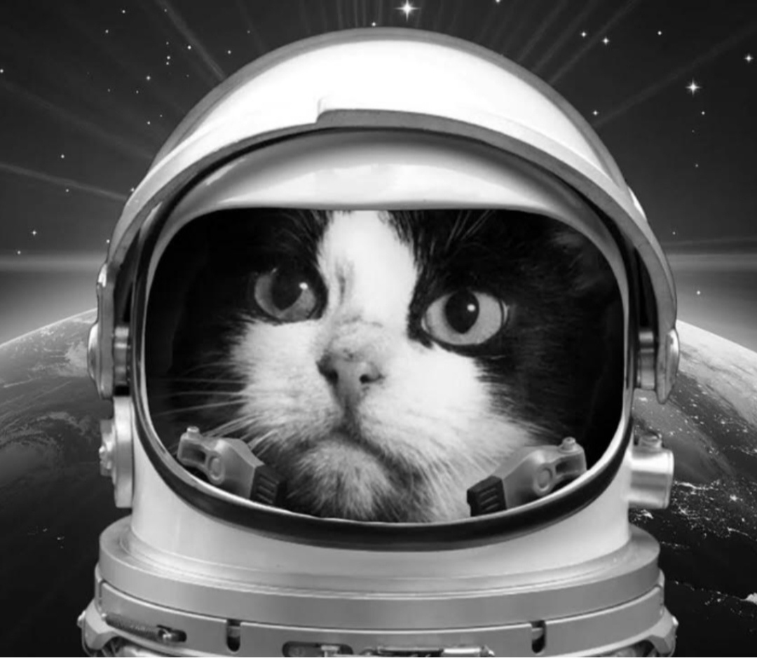 Фото из интернета