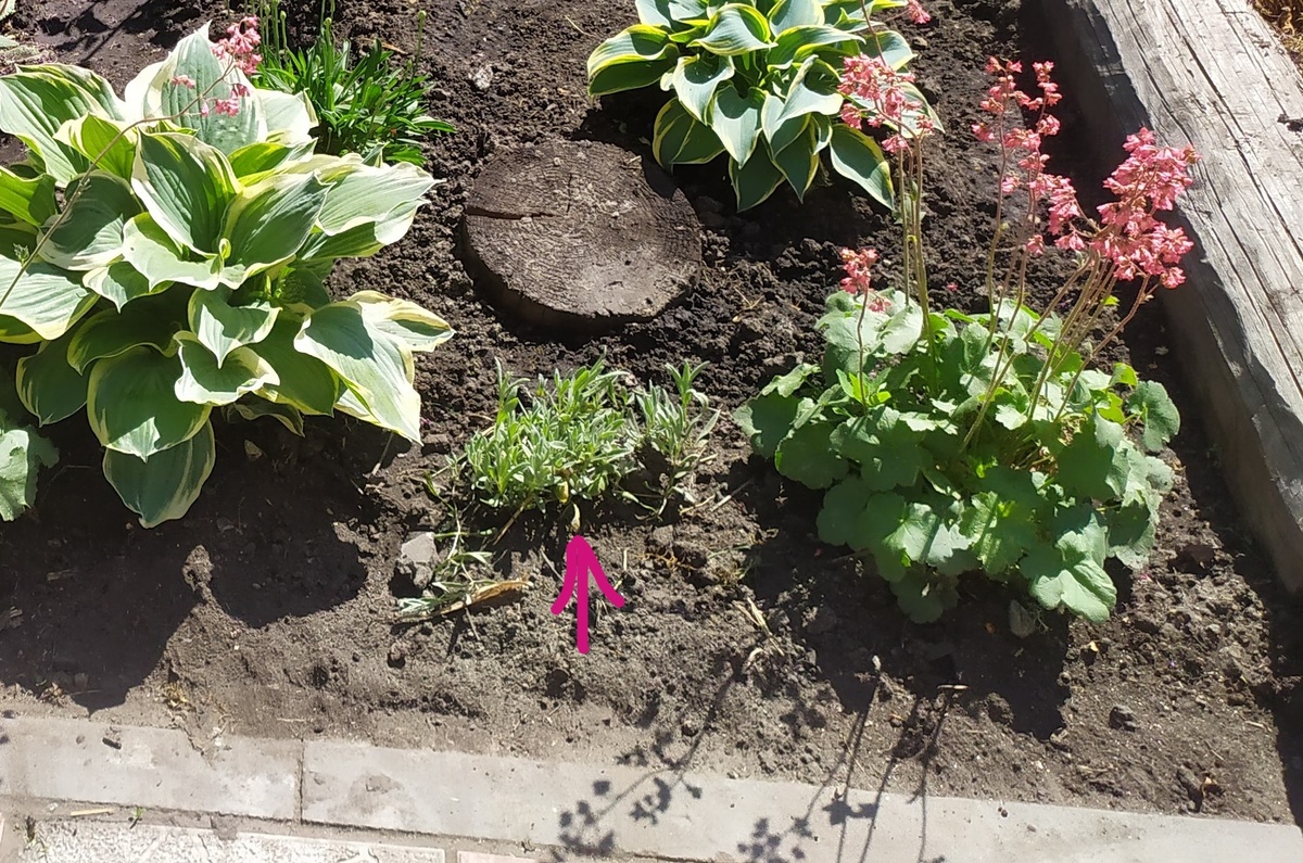 В начале лета 23 г.