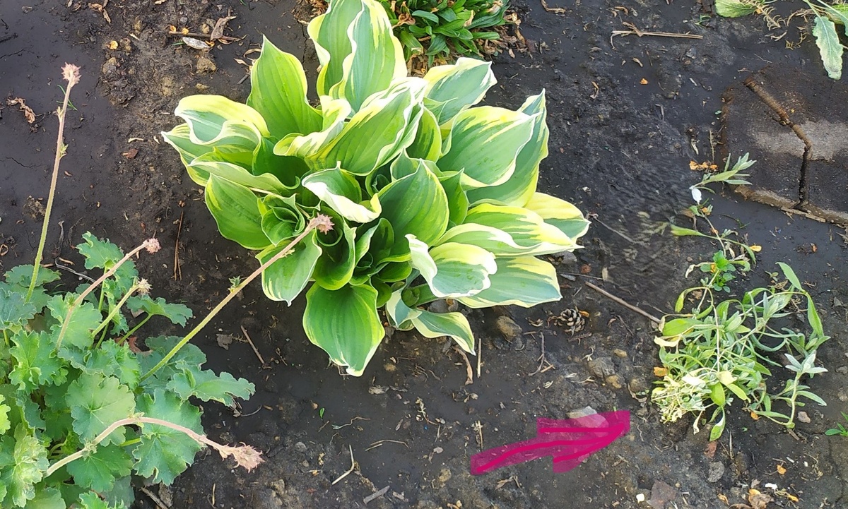 Сразу после высадки весна 23 г.