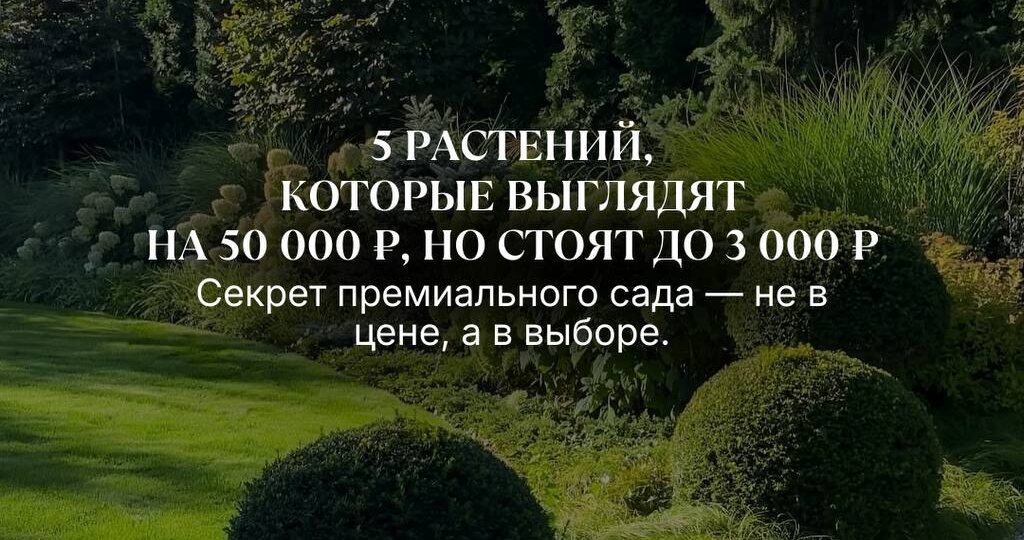 Роскошный сад — это не всегда про большие бюджеты