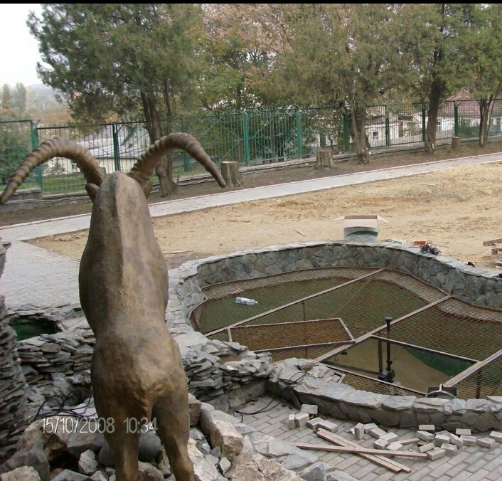 Фото собственных работ из личного архива. 