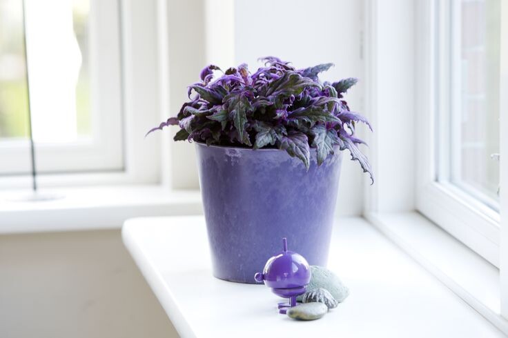 Фотография из интернета