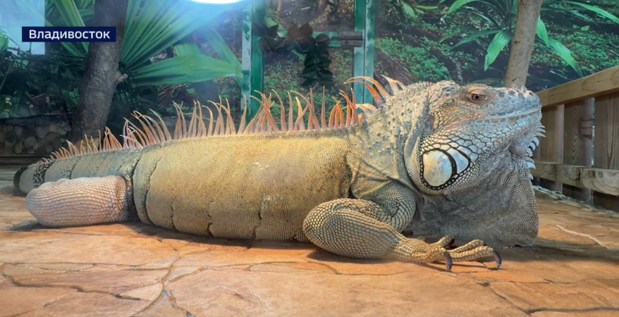    Источник фото: