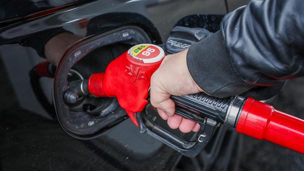    Фото: Roman Naumov/globallookpress.com