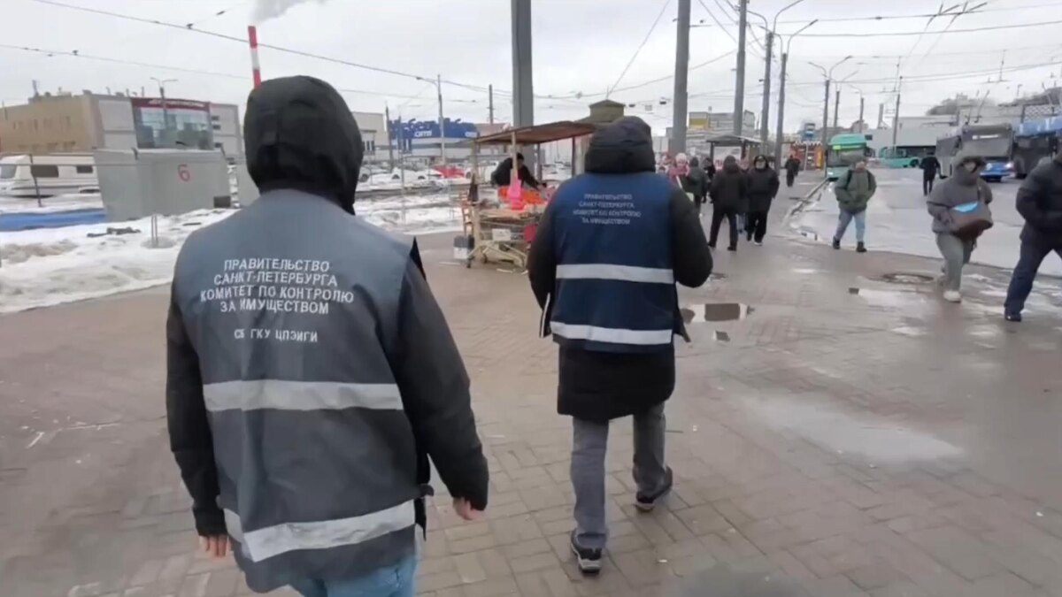    Фото: пресс-служба ККИ