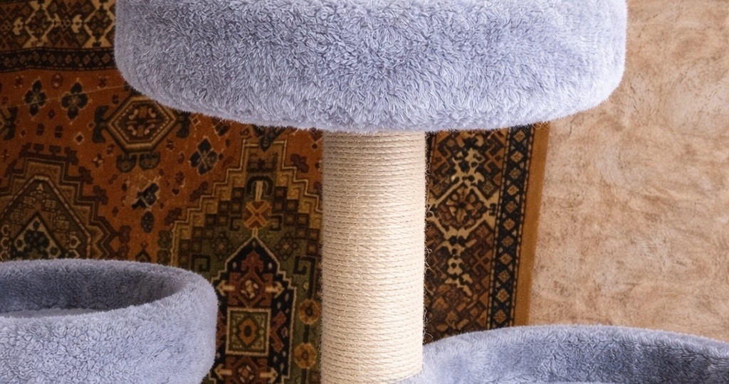 🖤Черная красавица Феня продолжает искать уютный дом🏡