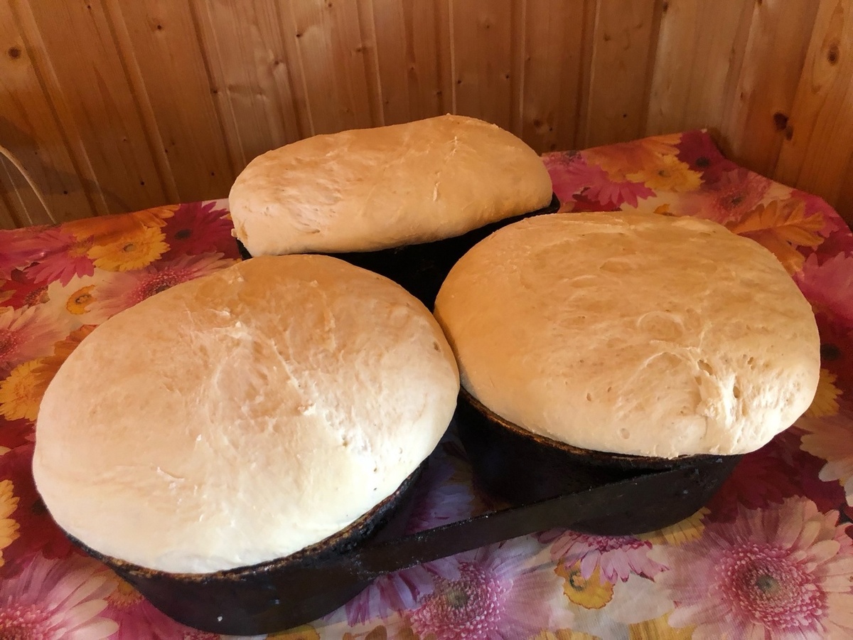     50 йыл буйы бер рецепт буйынса икмәк һала