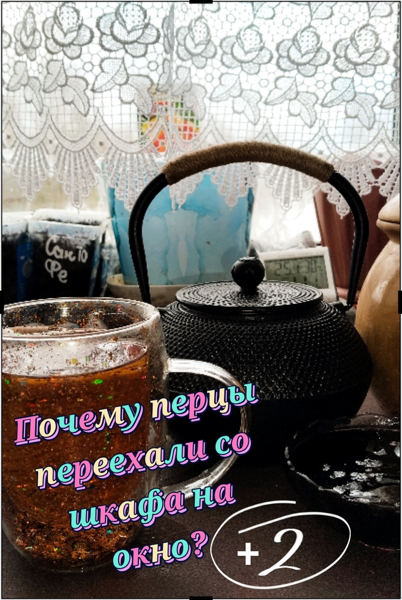 Утро будущего агронома начинается не с кофе, а с проверки подопечных. Чай с вареньем, планы в блокноте и мои перцы на теплых прихватках — идеальное начало 3 марта.