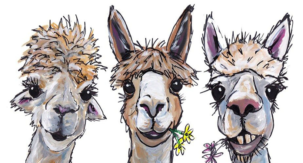 Альпака, фольга, куркума - что с ударениями?