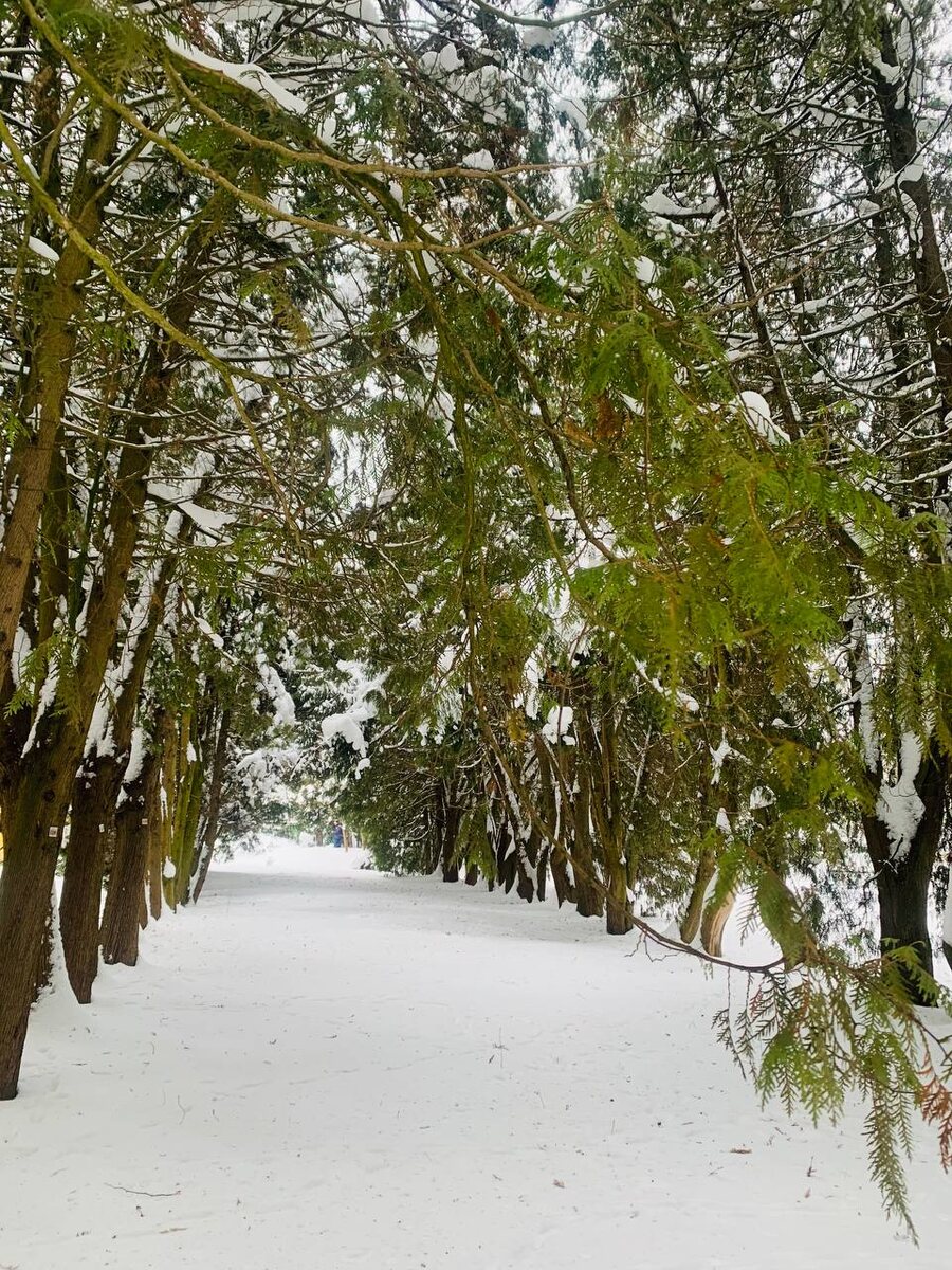 парк в Валуево