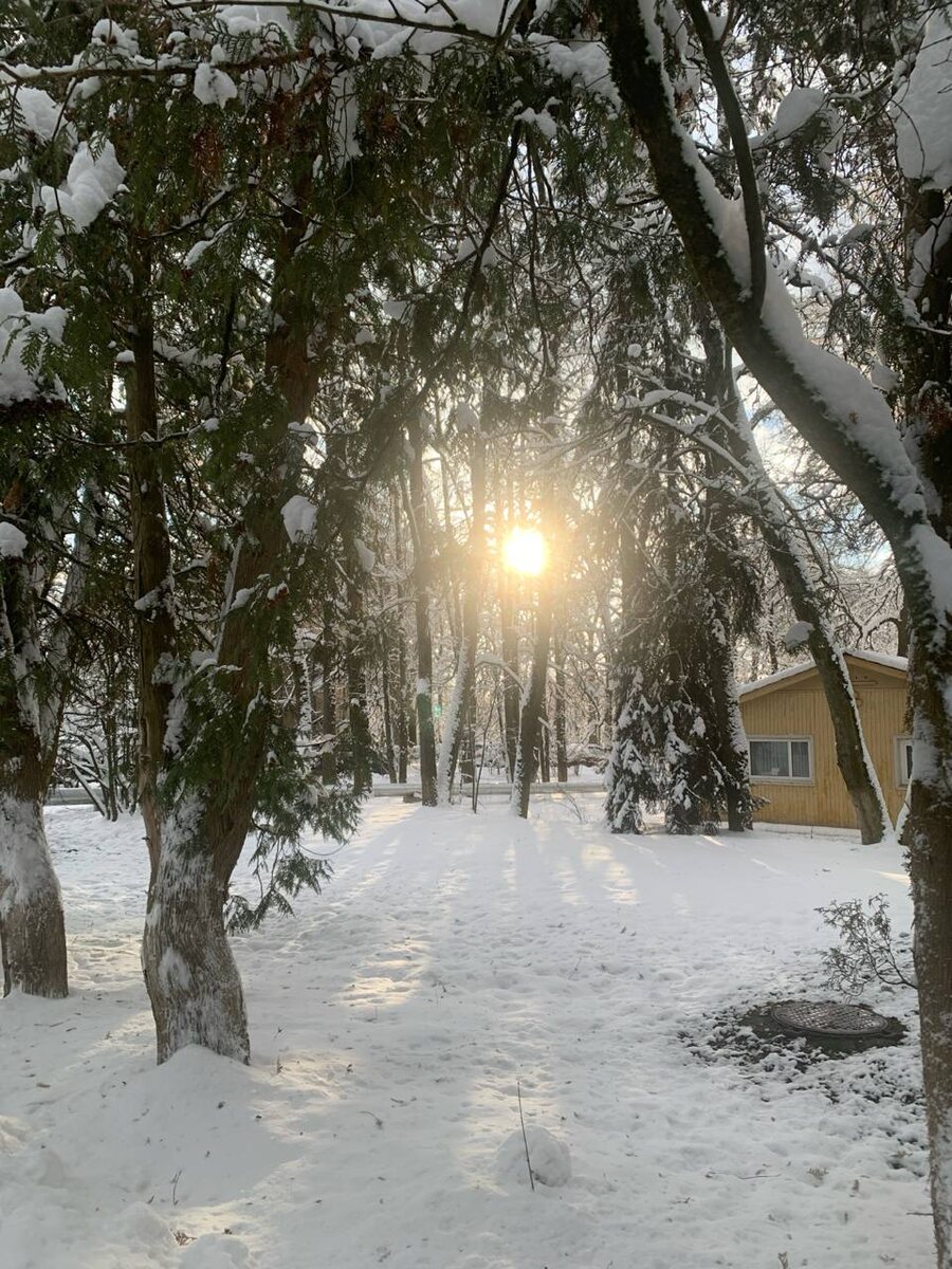 территория Валуево-чистый воздух и тишина
