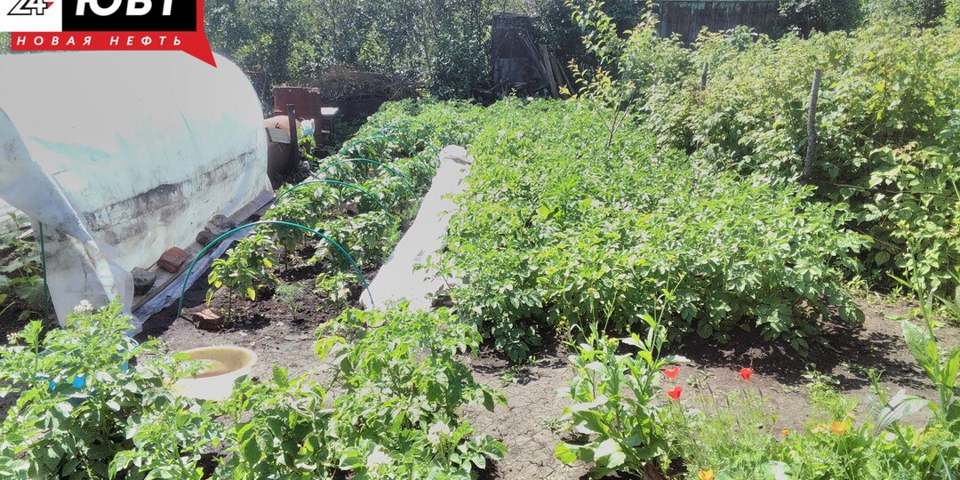 Весна на даче: как правильно подготовить почву и огород к новому сезону