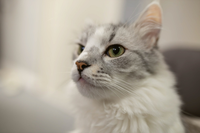 Фото: Екатерина Громова