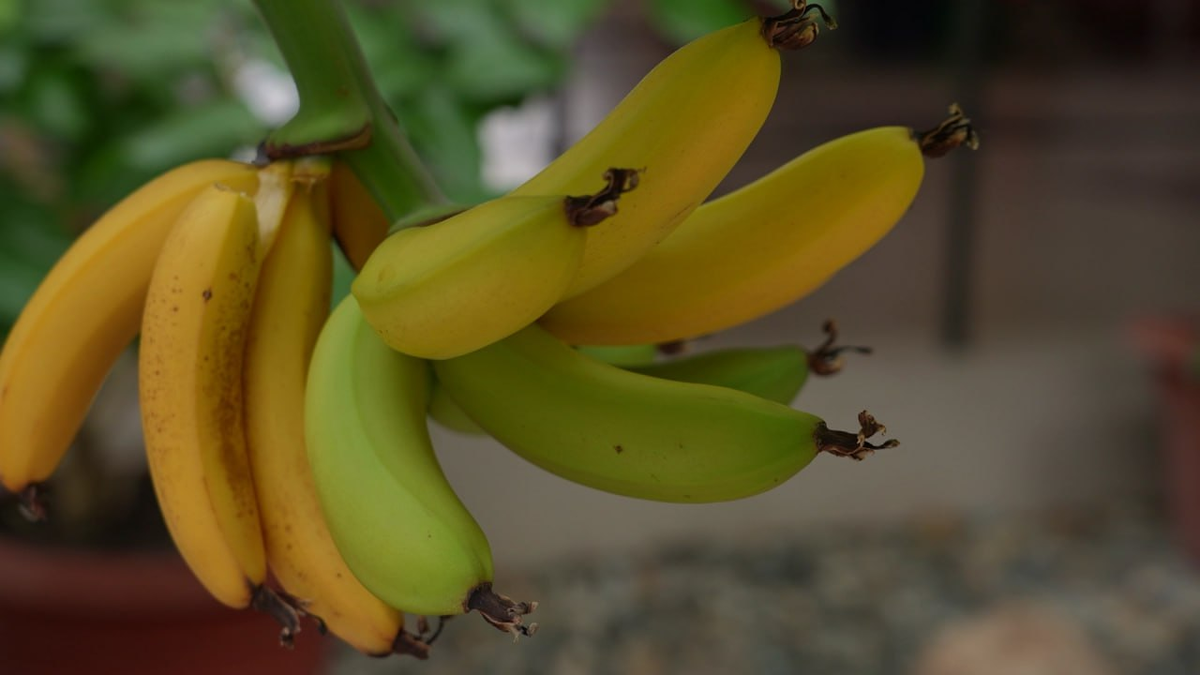 Фото: Мир Белогорья