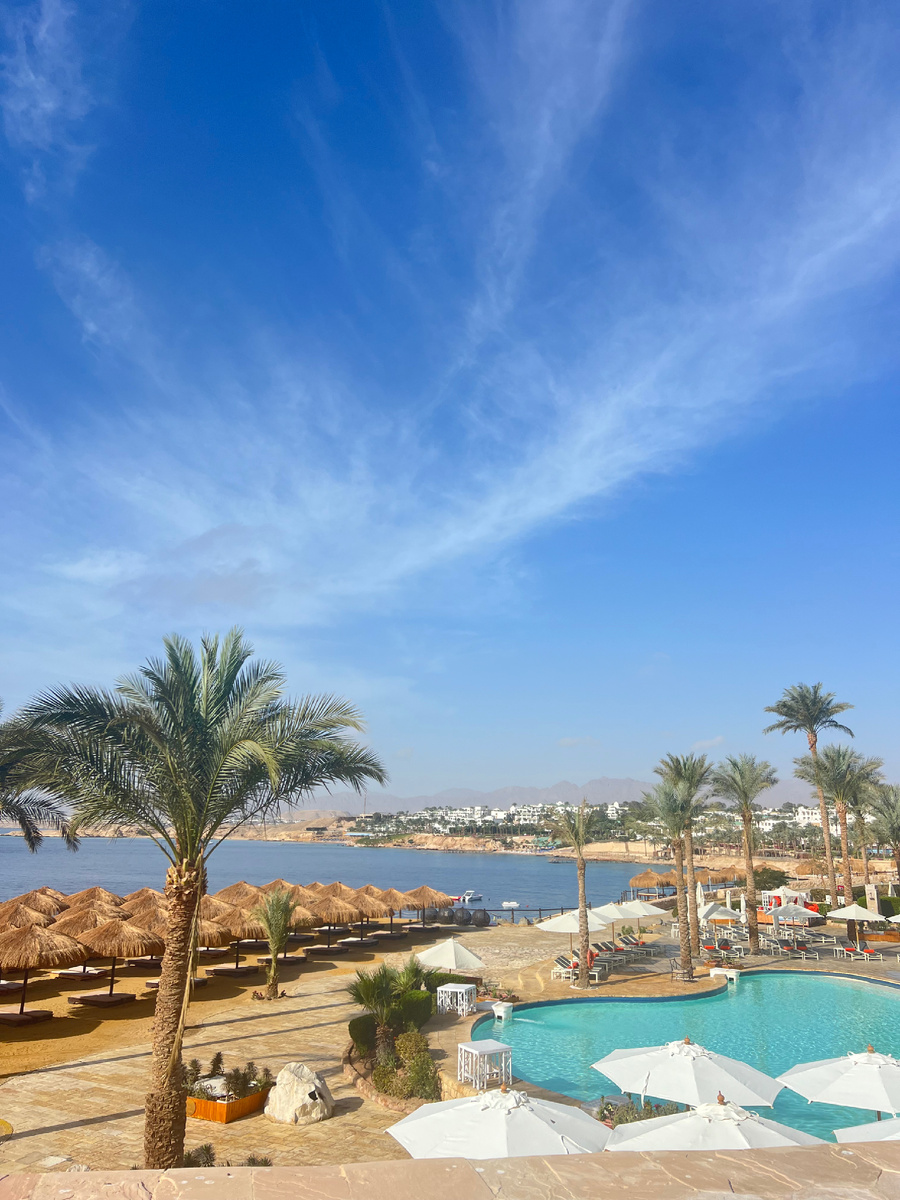 Мое рабочее место  в Египте ❤️