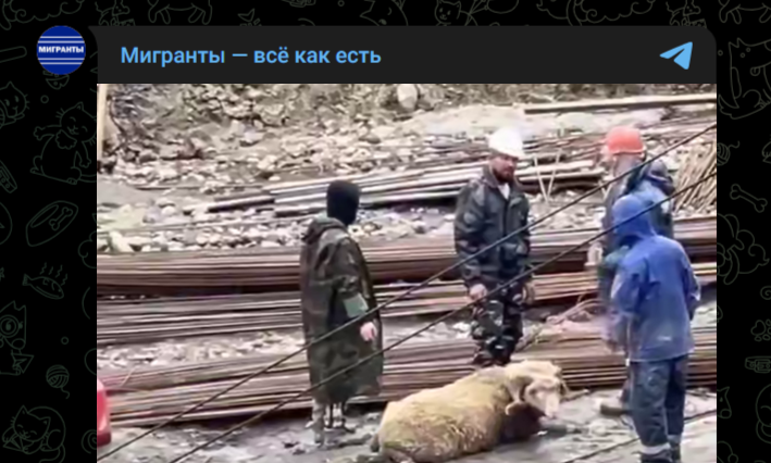 Фото: Telegram-канал "Мигранты - всё как есть"