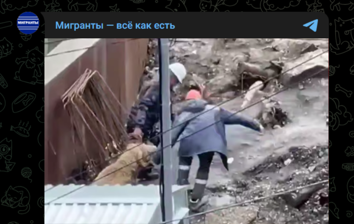 Фото: Telegram-канал "Мигранты - всё как есть"