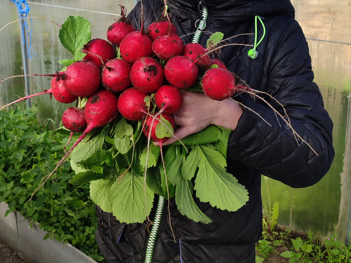 27 апреля 2025