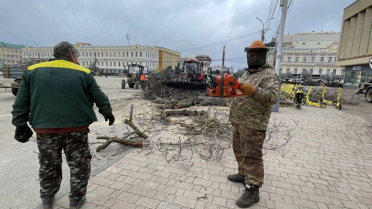    Ставропольчанам сказали, что будет на месте спиленных деревьев на площади Ленина   newstracker.ru