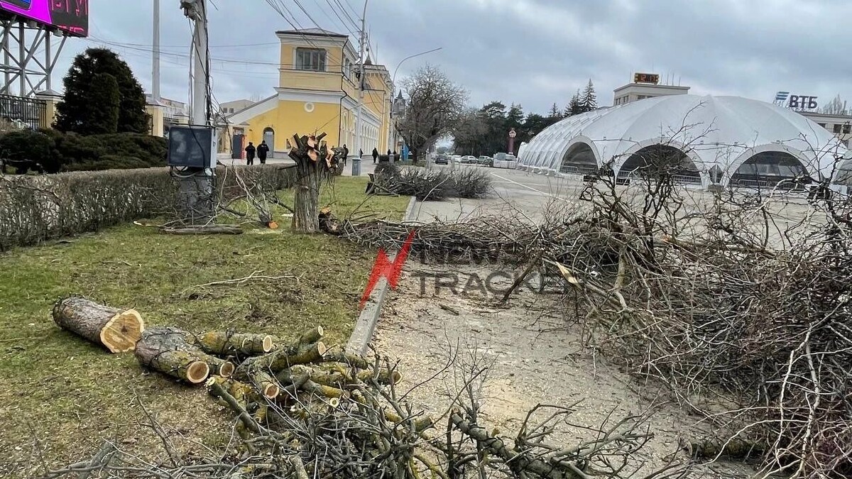    Наш корреспондент выяснила у рабочих, что те спиливают старые аварийные деревья, и беспокоится не о чем   newstracker.ru