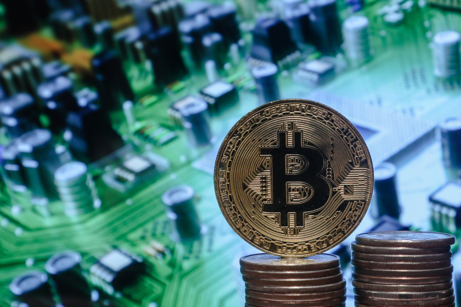    Сергей Булкин/NEWS.ru