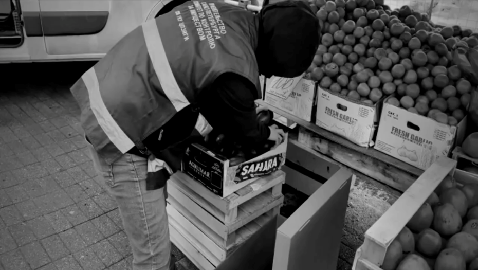    Автор фото: Скриншот видео ККИ