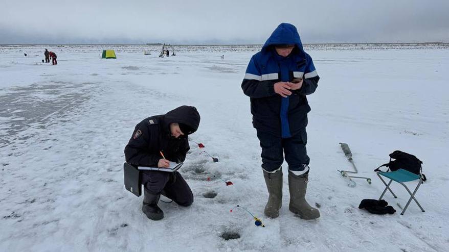    Фото: t.me/mvdszfo