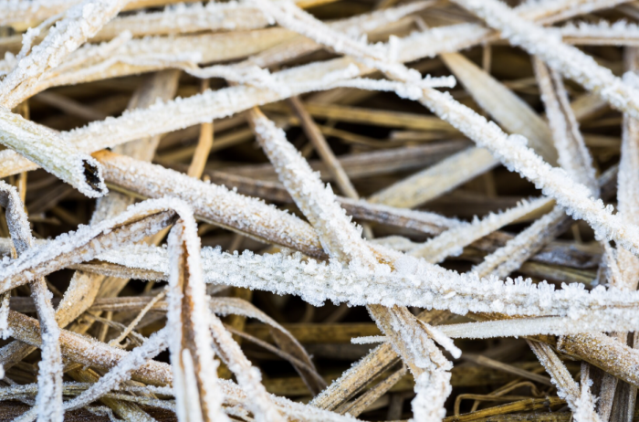    jannoon028 / ru.freepik.com