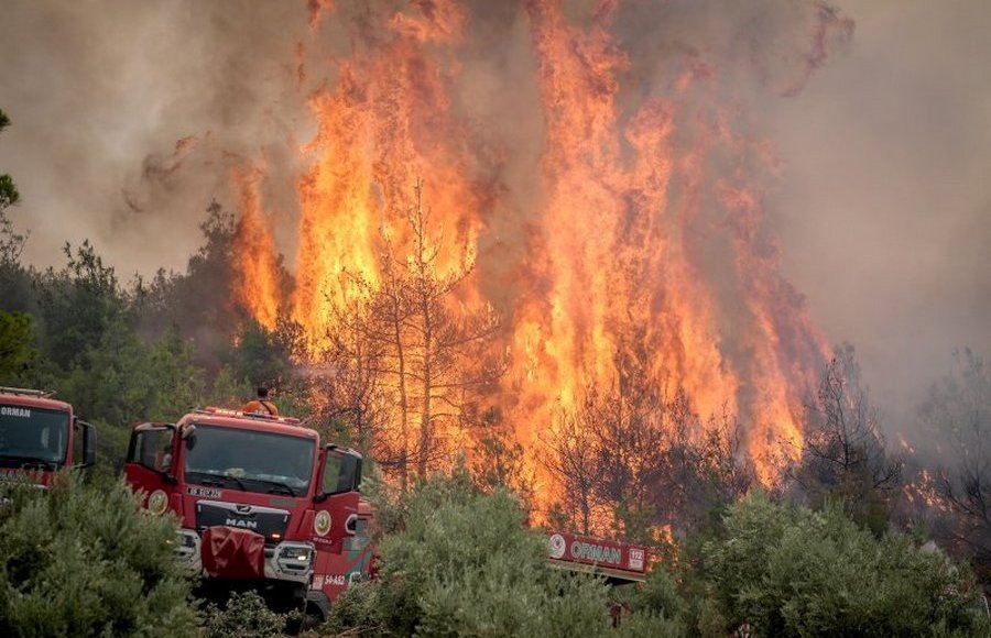    Фото: Sergen Sezgin/Anadolu via Getty Images