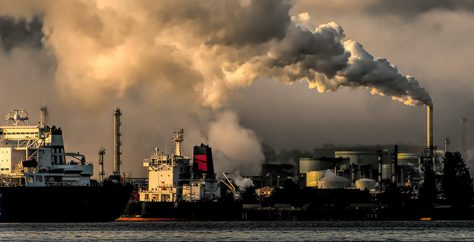    Фото: Chris LeBoutillier/Unsplash